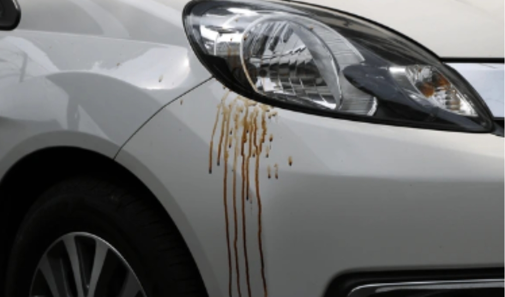 will-vinegar-remove-tree-sap-from-car