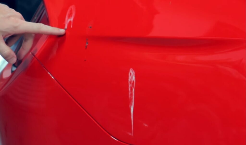 Why-You-Need-to-Remove-Bird-Droppings-from-Car-Surfaces-Quickly