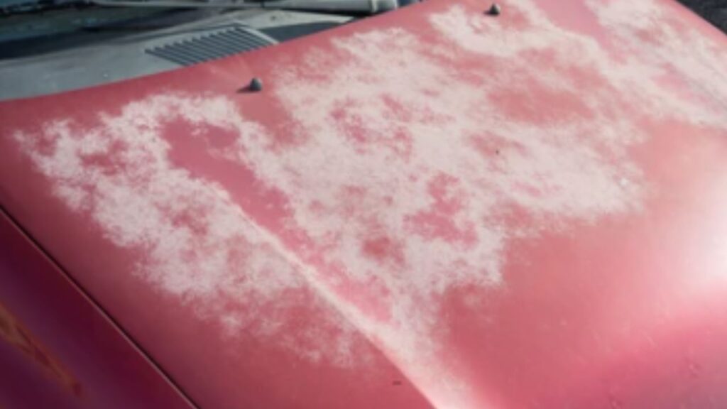 Why-Sun-Damage-is-Harmful-to-Your-Car